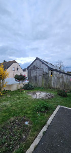 Photo de galerie - APRÈS. 
abattage ? pour protéger terrasse et maison des racines qui commençaient soulever. 