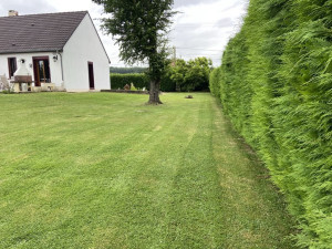 Photo de galerie - Tonte de pelouse - Débroussaillage