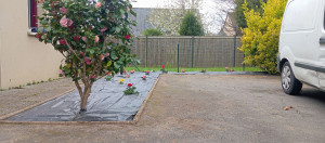 Photo de galerie - Désherbage, retourner la terre , bêchage, plantation des fleurs ?