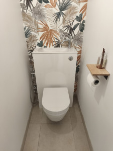 Photo de galerie - Remplacement WC par WC suspendu avec lave main intégré