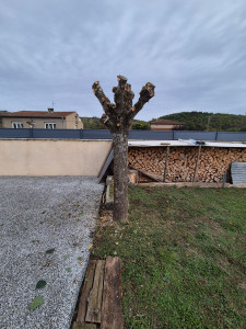 Photo de galerie - Après 
