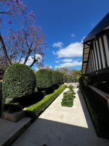 Photo de galerie - Taille complexe