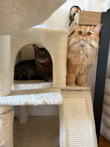 Photo de galerie - Turbo 