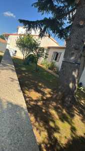 Photo de galerie - Tonte 