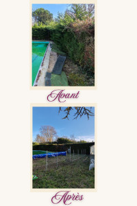 Photo de galerie - Entretien de haie 