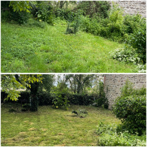 Photo de galerie - Remise en état d’un terrain arboré 