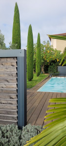 Photo de galerie - Entretien et taille de cyprès de Provence en fuseau, pour structurer un espace piscine avec une touche méditerranéenne.