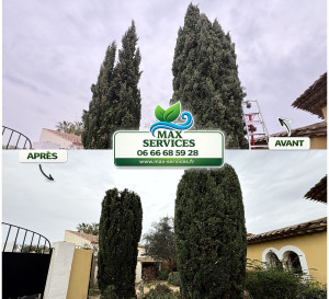 Photo de galerie - Rabattage de deux cyprès devenus trop hauts.

Résultat : des arbres plus équilibrés, sécurisés et mieux adaptés à leur environnement.

✔️ Réduction de hauteur
✔️ Taille propre
✔️ Mise en forme des arbres