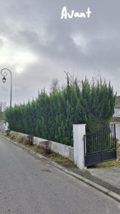 Photo de galerie - Teiller les arbustes.