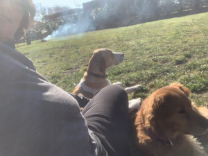 Photo de galerie - Voici la garde de mes chiens 