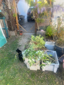 Photo de galerie - Environnement propre après travail