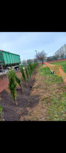 Photo de galerie - Paysagiste - Aménagement du jardin