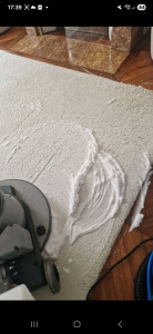 Photo de galerie - Tapis