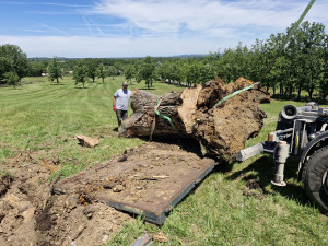 Photo de galerie - Près  pour le changement 