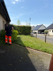 Photo de galerie - Taille haie à essence pour couper vos haies arbustes …