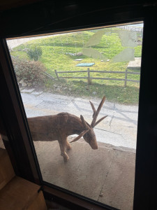 Photo de galerie - Nettoyeur de vitres