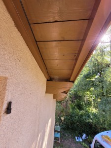 Photo de galerie - Peinture - Tapisserie