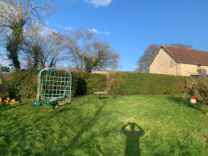 Photo de galerie - Taille de haie