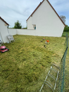 Photo de galerie - Tonte de pelouse - Débroussaillage