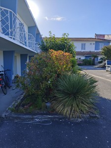 Photo de galerie - Jardinage 