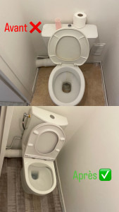 Photo de galerie - Changement de wc + Revêtement de sol