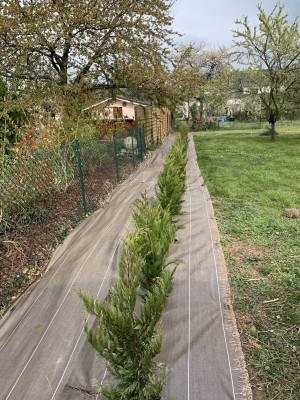Photo de galerie - Jardinier