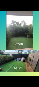 Photo de galerie - Taille de haie