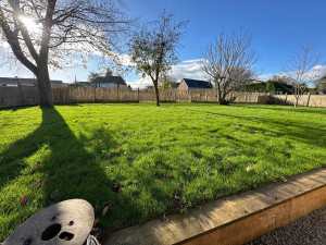 Photo de galerie - Paysagiste - Aménagement du jardin