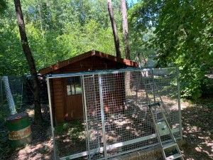 Photo de galerie - Bricolage et multi services