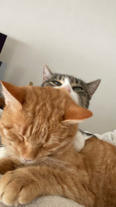 Photo de galerie - ☺️