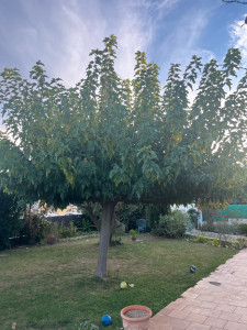 Photo de galerie - APRÈS 