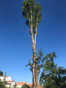 Photo de galerie - La hauteur nous fait pas peur, il n’y a pas de limite de hauteur