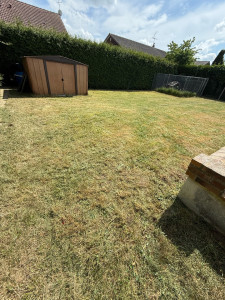 Photo de galerie - Après intervention : pelouse tondue, terrain propre et entretenu. Disponible pour tonte, débroussaillage et entretien de jardin.
