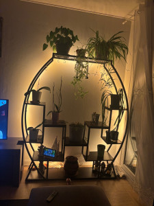Photo de galerie - Montage d’une étagère + led