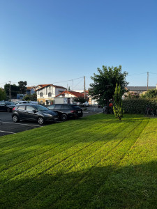 Photo de galerie - Tonte de pelouse - Débroussaillage