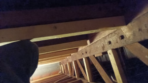 Photo de galerie - Un travail impeccable 