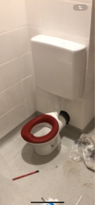 Photo de galerie - Pose wc enfants 