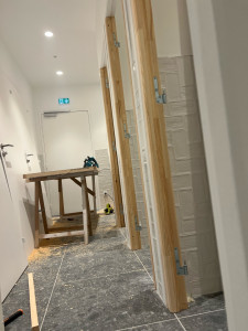 Photo de galerie - Pose porte de sanitaire 