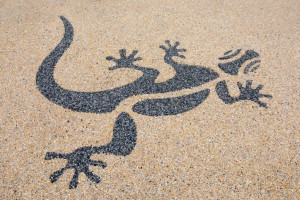 Photo de galerie - Pose de parquet - Revêtement de sol