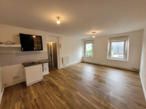 Photo de galerie - Parquet imitation bois studio sur Ploufragan 