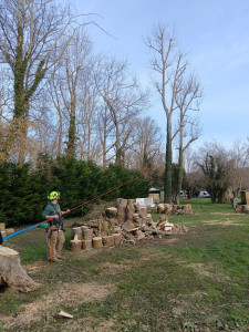 Photo de galerie - Abattage 