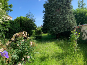 Photo de galerie - Elagage et coupe d'arbres