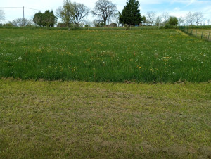 Photo de galerie - Hauteur d'herbe de 40cm: aucun soucis pour moi.
