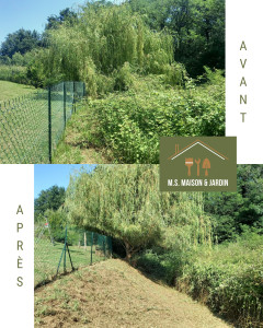 Photo de galerie - Broyage de roncier 