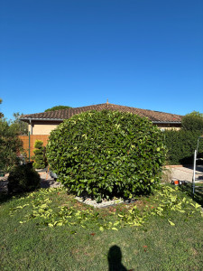 Photo de galerie - Paysagiste - Aménagement du jardin