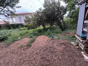 Photo de galerie - Avant débroussaillage 