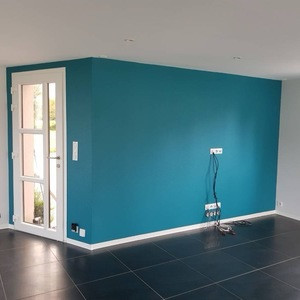 Photo de galerie - Mur de couleur décoratif 