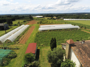 Photo de galerie - Aménagement jardin 