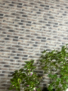 Photo de galerie - Papier peint 