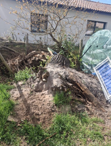 Photo de galerie - Dessoucheuse / Rogneuse